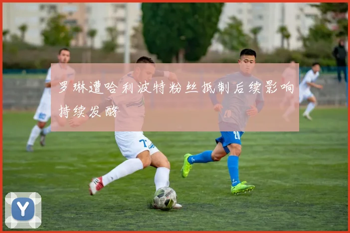 罗琳遭哈利波特粉丝抵制后续影响持续发酵