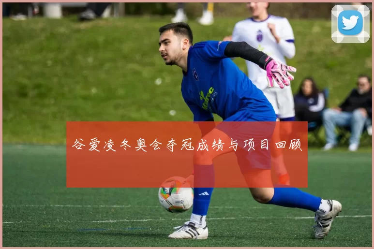 谷爱凌冬奥会夺冠成绩与项目回顾