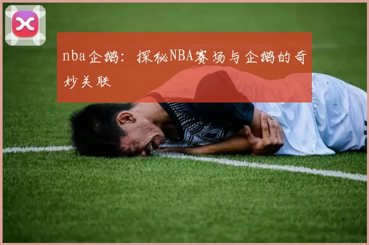 nba企鹅：探秘NBA赛场与企鹅的奇妙关联