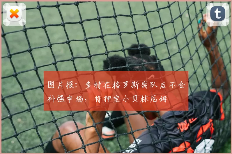 图片报：多特在格罗斯离队后不会补强中场，将押宝小贝林厄姆